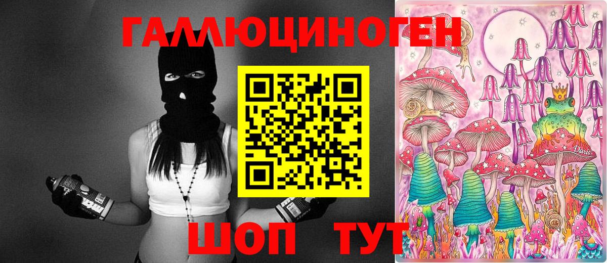 Псилоцибиновые грибы Cubensis Прокопьевск