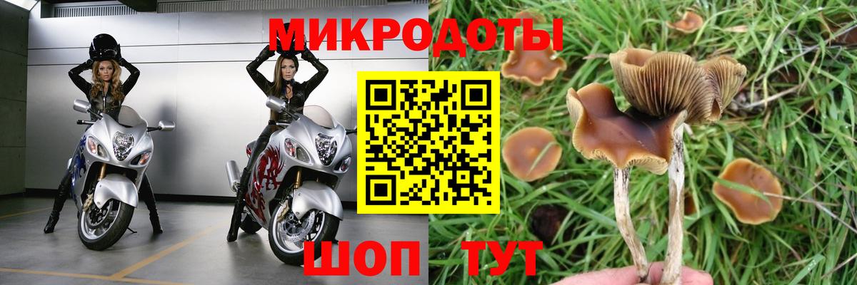 Прокопьевск  купить закладку  Вход с VPN  Галлюциногенные грибы Cubensis 